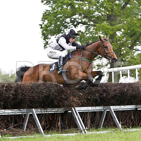 Ballymoat , 2nd, Jockey - Derek O'Oonnor - FT8E2304-e