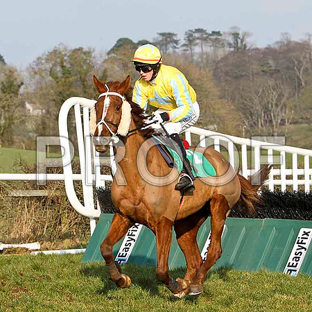 Serious Twine - PU, Jockey K M Donoghue - FT8E0484-e