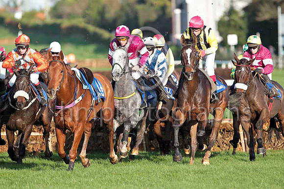 Castle Wings Fell, Ipsos Du Berlais (Grey) Winner, Its all Hush Hush 11th & Early Doors 5th - CU2D9754-e