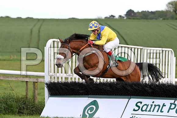 Ella Mia, 10th, Jockey J L Cullen - FT8E3058-e2