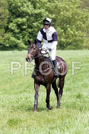 First Race - Sir Penkerlen (4) PU, Rider R O'Sullivan - CU2D9556-e