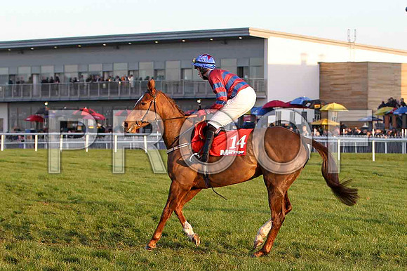 Farewell Angelina - 11th , Jockey Mr W Thompson - FT8E7296-e