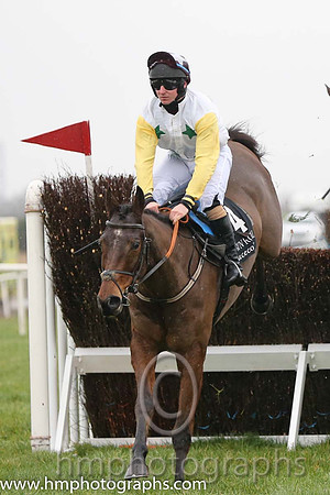 04 Smokey Joe Joe and Mark Bolger - - 04th (4 ,white, emerald green stars ) Trainer - S J Mahon