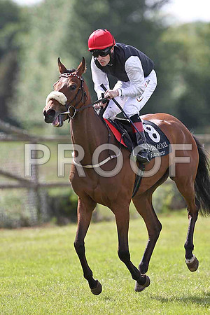 Stroke of Love winner, Jockey P J Smullen - FT8E1563-e