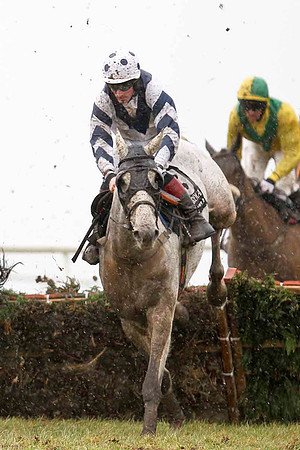 Lasquini Du Moulin 11th, Jockey S W Flanagan - CU2D3238-e