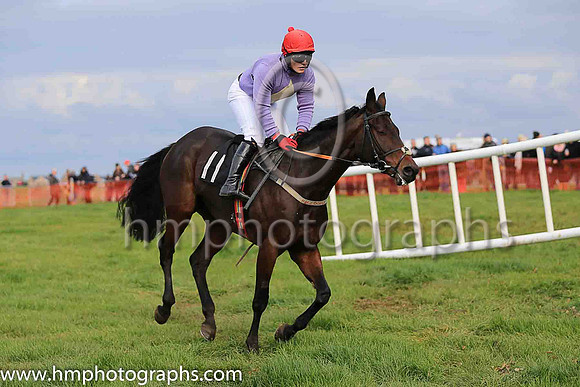CAVIAR D'ALLEN (FR) and R James ( 11 , PURPLE,yellow diamond; purple sleeves; red cap ) Trainer: P.M.J. Doyle,, Owner : Mary Doyle