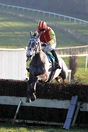 Hughies Grey Winner, Jockey M Darcy -FT8E0513-e
