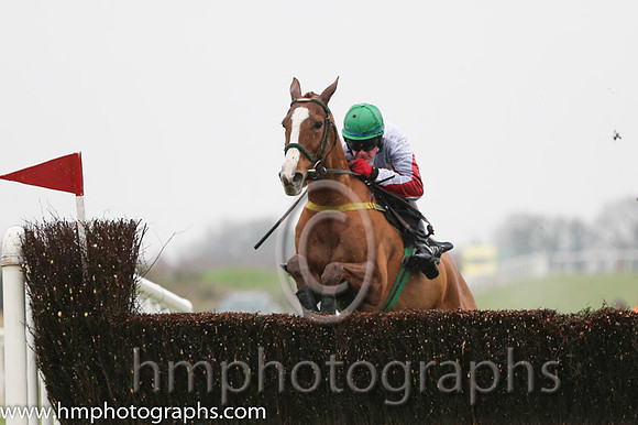 01 Down Ace and Ger Fox - - 01st (6 ,white, red diamond ) Trainer - Noel Meade
