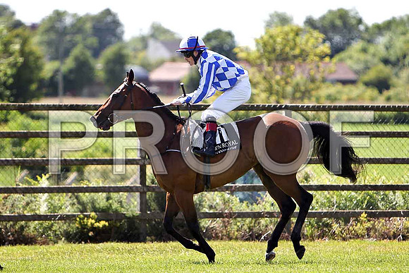 First in Command 3rd, Jockey R P Whelan - CU2D0205-e