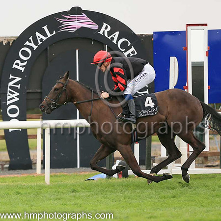 01st Ocean Jewel (4 , black ) Jockey: W J Lee , Trainer: W McCreery