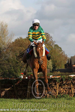 16 Dear Boss & A P McCoy - 16th (10, emerald green and orange hooped) - FT8E9938-Edit-87
