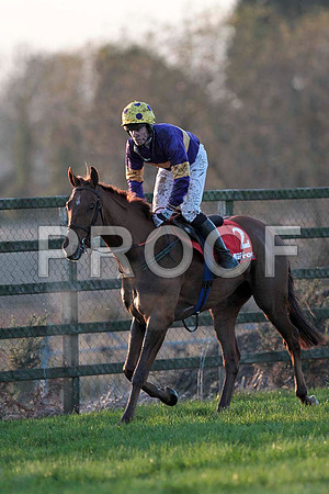 Big Generator - 2nd , Jockey Mr B O'Neill -CU2D0018-e2