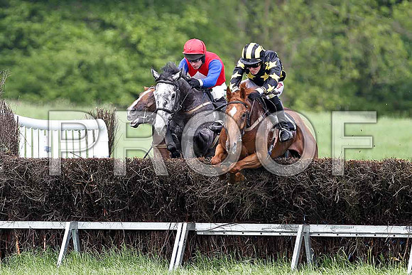 Fifth Race Div 1 - The Lady in Grey (38) Fell, Rider Derek O'Connor & Hairy Nostrils (1) PU, Rider B O'Neill - FT8E0372e