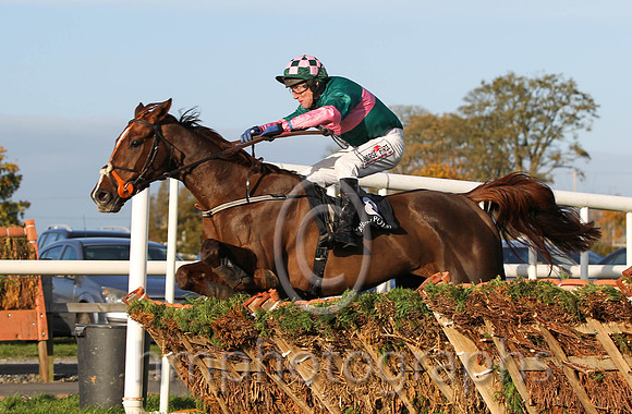 01 Gambling Girl & R M Power - winner (8,dark green, pink hoop ) - FT8E9977