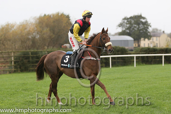 04 King of the Picts and A E Lynch - - 04th (3 ,black, red epaulettes ) Trainer - J P Shanahan