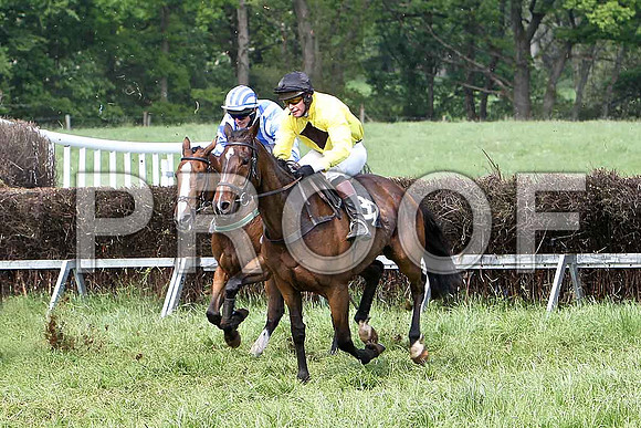 Fifth Race Div 2 -  Connie de Mar (5) 3rd, Rider B G Crawford  & Top Gal (39) 4th, Rider M J Henry  - CU2D9716-e