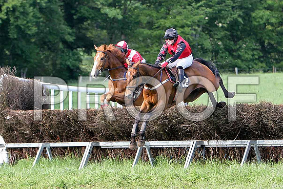 Race 6 Div 2 - Moneybach Garantee (19) 4th, Rider c Cully & Gregg Boy (12) 2nd, Rider J Cresswell - CU2D9798-e