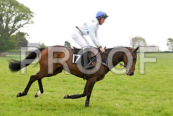 Nanna Maura , Winner , Jockey - G B Watters - FT8E2557-e