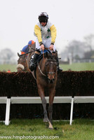 2014/12/26th - Race 1 at Down Royal on Boxing Day