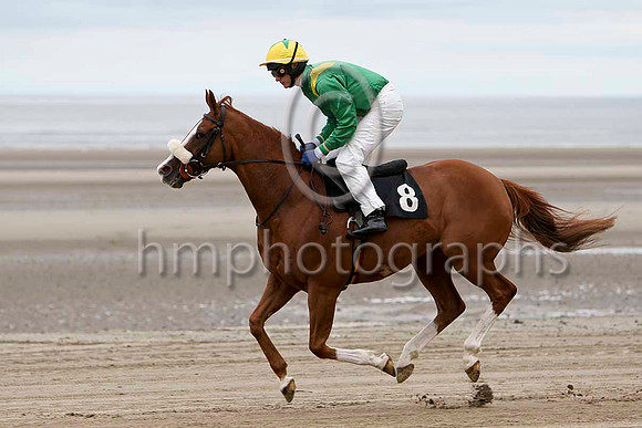 Quai Du Roi 10th, Jockey P Townend - FT8E4062-e