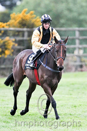 R7 -  Aharney 14th, Jockey G F Carroll - FT8E0584-e