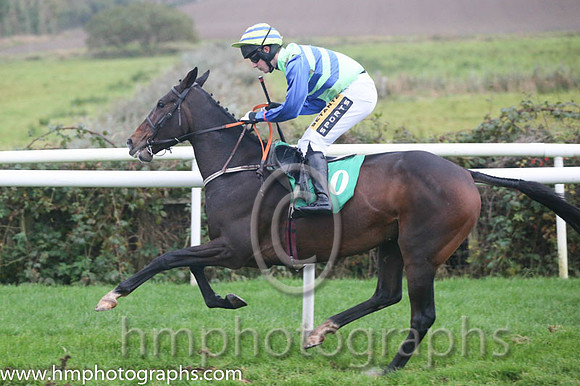 06 Runyon Rattler and Mr J J King - - 06th (10 ,Light green and blue chevrons ) Trainer - P J Rothwell