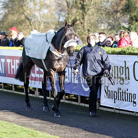 Midnight Chase Fell, Jockey D C Costello - FT8E6962-e