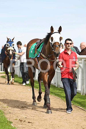 City Hustler 3rd , Jockey Mr M P Fogarty- CU2D1645-e