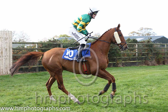 16 Dear Boss & A P McCoy - 16th (10, emerald green and orange hooped) - CU2D8915-24
