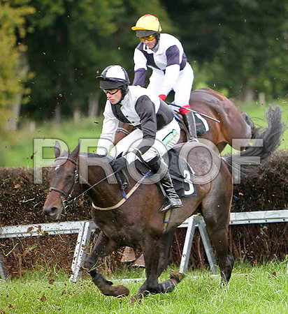Bravo Riquet (3) winner & Ballyness 3rd - CU2D2550-e