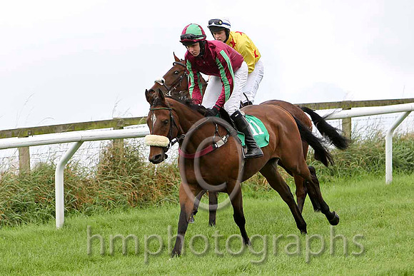 Rocketscience , Jockey M P Walsh - 11th &  Brer Rabbit , Jockey S E Butler - Fell - CU2D2227-e