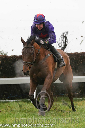 04 Rebel Cry and Kevin Sexton - - 04th (5 ,pink, black panel ) Trainer - Norman Lee  01 Ardmillan and Anthony Fox - - 01st (8 ,purple, red star ) Trainer - S R B Crawford
