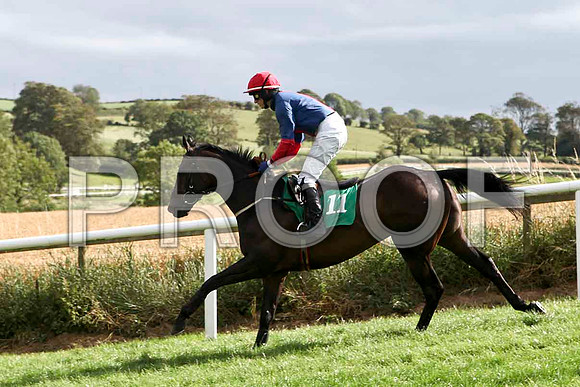 Breeze With Ease - 6th, Jockey P Townend -  IMG_9421-e