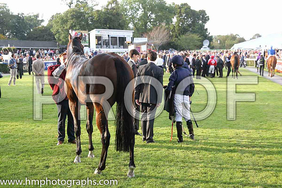 Parade ring at Irish Champions Weekend at Leopardstown