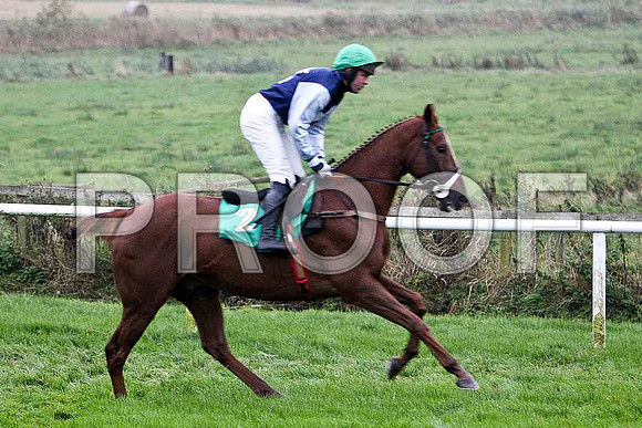 Acriveen , 4th - Jockey R M Moran - FT8E5452-e