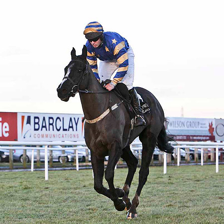 Jinnys Beaverlamb 17th, Jockey Mr M J O'Hare - FT8E0046-e