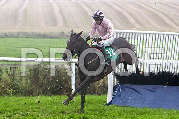 Nanna Maura , 2nd - Jockey E J O'Connell - FT8E5230-e