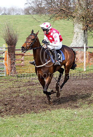 Third Race - Drumbledore (21) 3rd Div 1 - CU2D7102-e
