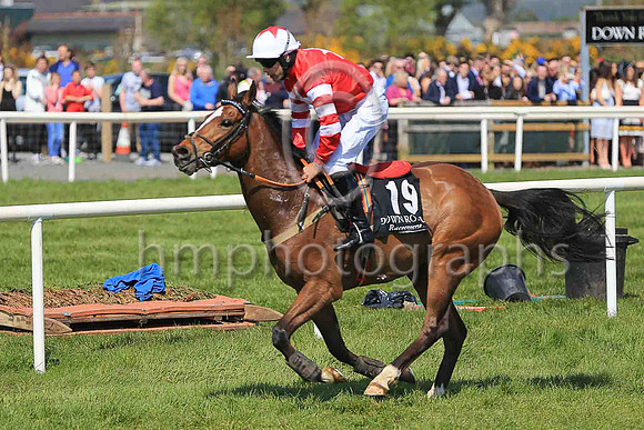 12th Oromo and R C Colgan ( 19 , red, white star ) Trainer - K Thornton , Owner - B Parker