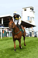 Back and Firth PU, Jockey D J Bates - CU2D1749-e