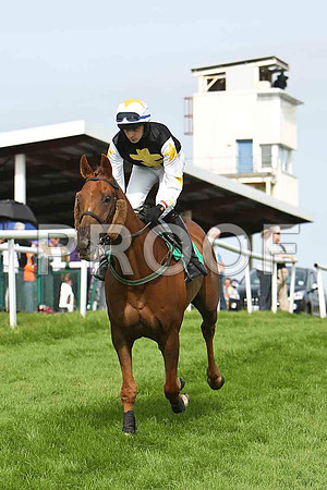 Back and Firth PU, Jockey D J Bates - CU2D1749-e