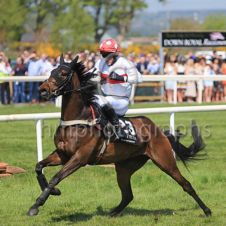 17th Boals Corner and Reserve 3 ( 23 , white, red hoop ) Trainer - S F Magee , Owner - Stephen Francis Magee
