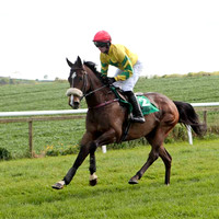 Diamond Fire , 13th, Jockey - S G McDermott - CU2D9233-e