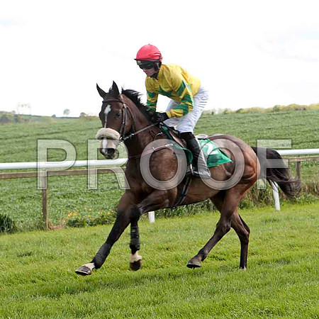 Diamond Fire , 13th, Jockey - S G McDermott - CU2D9233-e