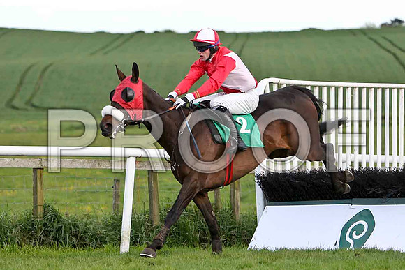 Demoolah , 6th, Jockey M J Ferris - FT8E3054-e