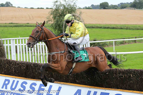 07th Laudatory and A Ring ( 7 , yellow ) Trainer - P J Rothwell , Owner - Eric Newnham