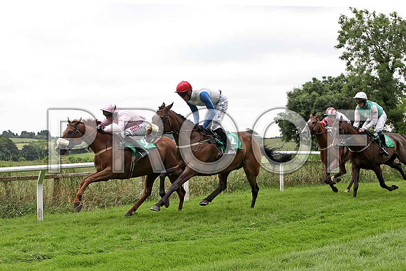 Cuchullain , Hills of Claragh , Corrado Suprano , Pickapocketortwo winner - CU2D0954-e