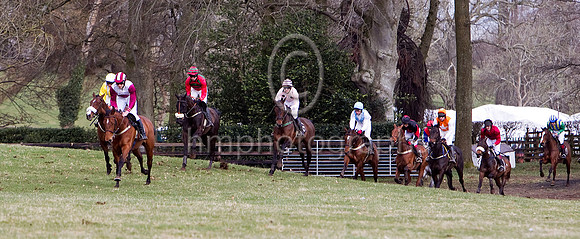 Second Race - Roadshan the eventual winner in the lead, Ishlana, Blackwater Breeze, Ciannte, Young Celebrity (third), weir Madgic (second), Tango for Nellie, The Lady in Grey, Hop Sa - CU2D7052-e23a4j