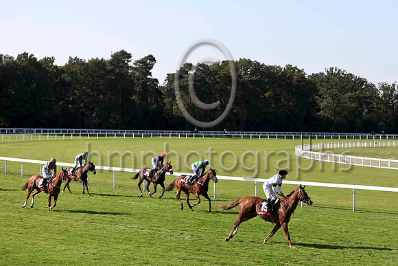R6 at Ascot Betfair weekend - IMG_0016-e