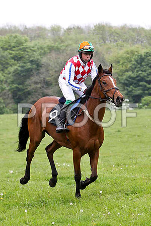 Dunadry Girl , PU, Jockey - J A Jenkins - FT8E2628-e